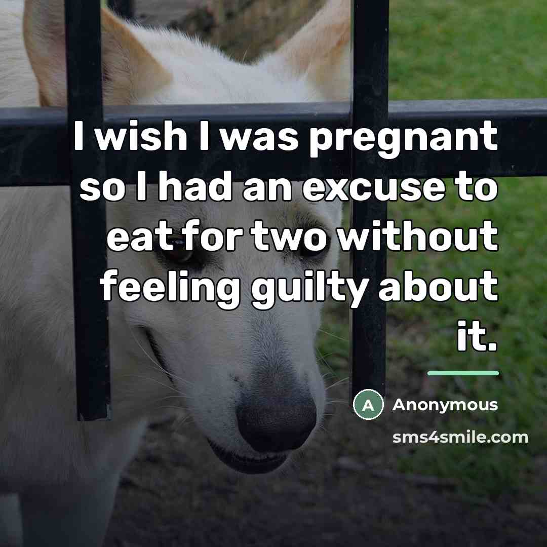 “I wish I was pregnant so I had an excuse…” quote by Anonymous