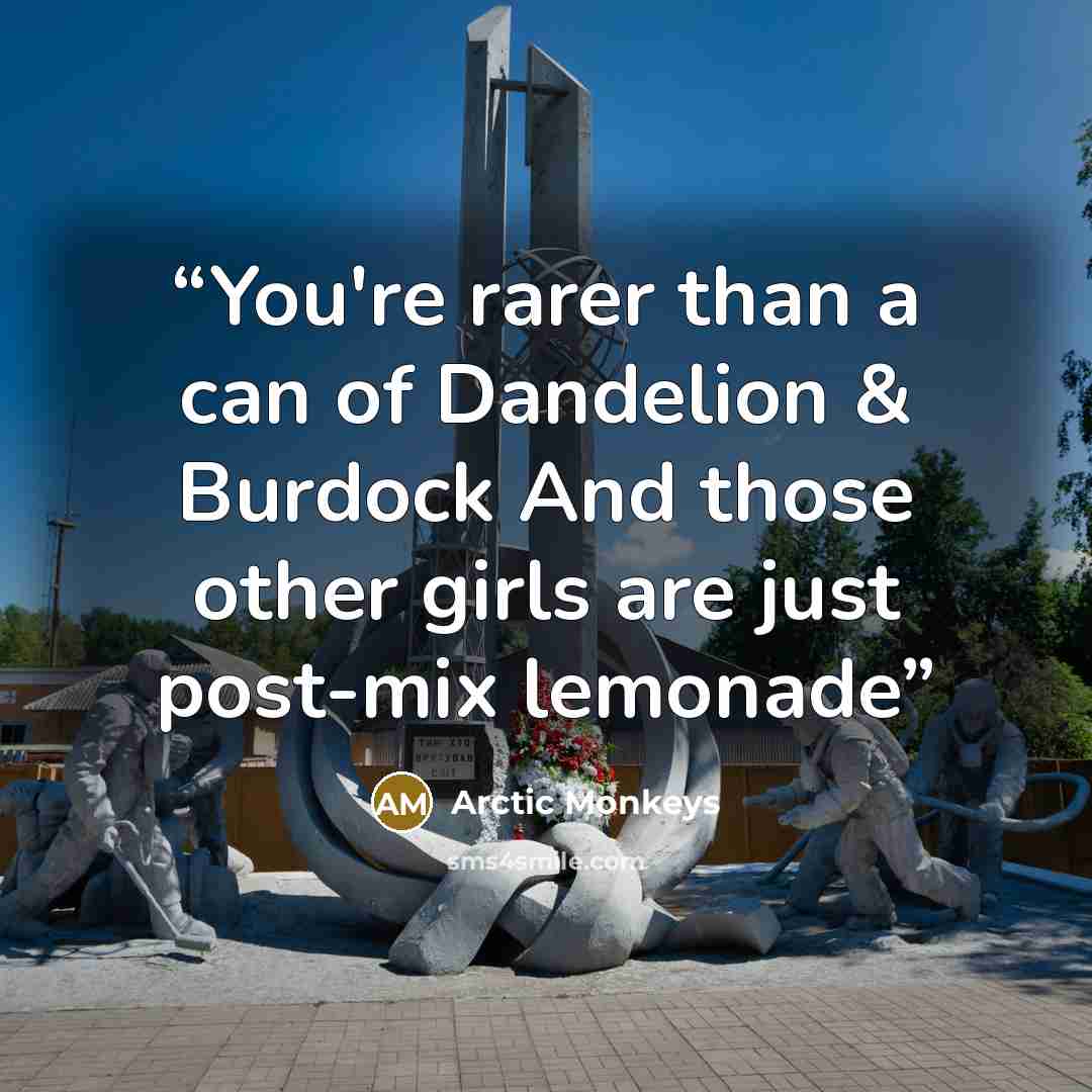 “You're rarer than a can of Dandelion & Burdock And those other girls are just post-mix lemonade” quote by Arctic Monkeys