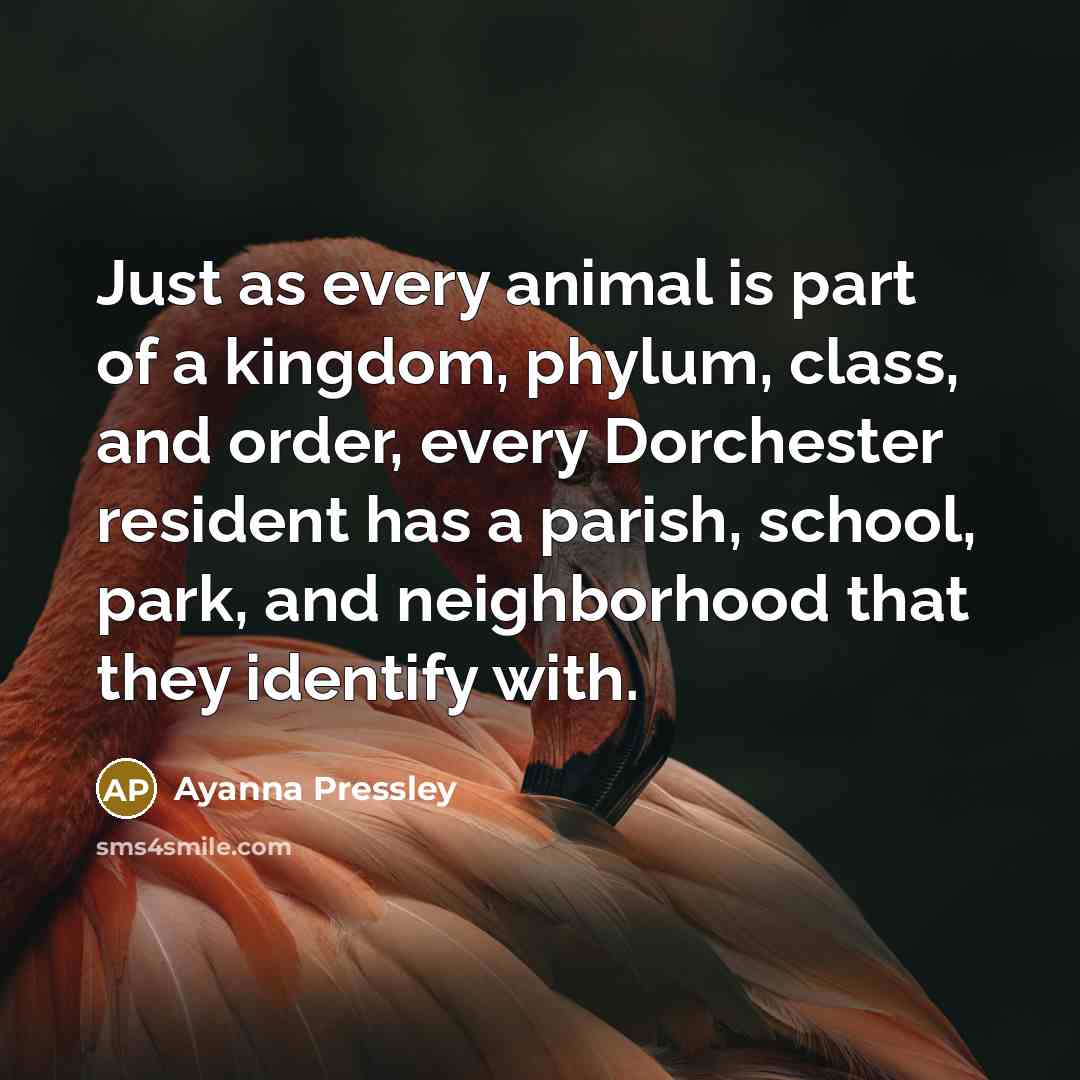 “Just as every animal is part of a kingdom, phylum,…” quote by Ayanna Pressley