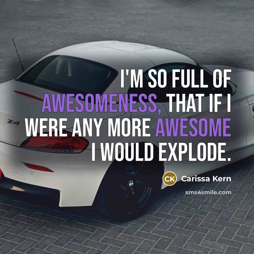 “I'm so full of awesomeness, that if I were any more awesome I would explode.” quote by Carissa Kern