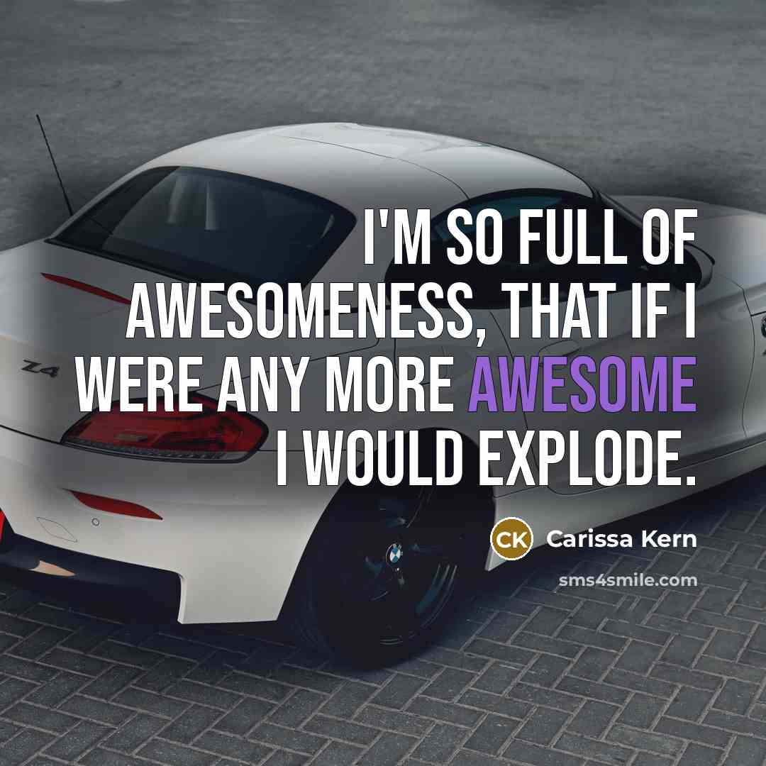 “I'm so full of awesomeness, that if I were any more awesome I would explode.” quote by Carissa Kern