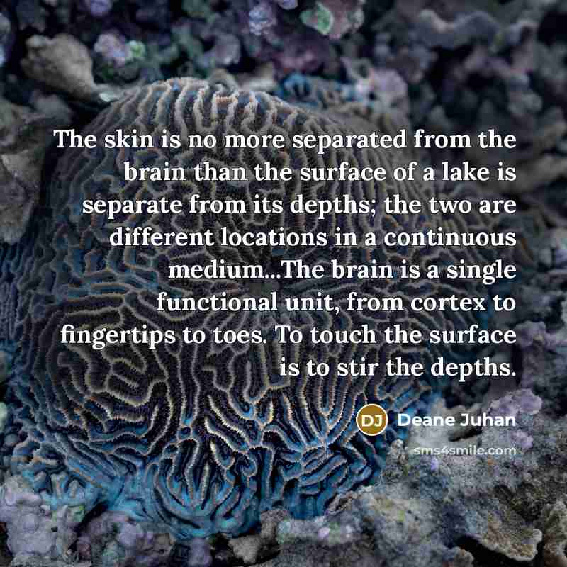 “The skin is no more separated from the brain than…” quote by Deane Juhan