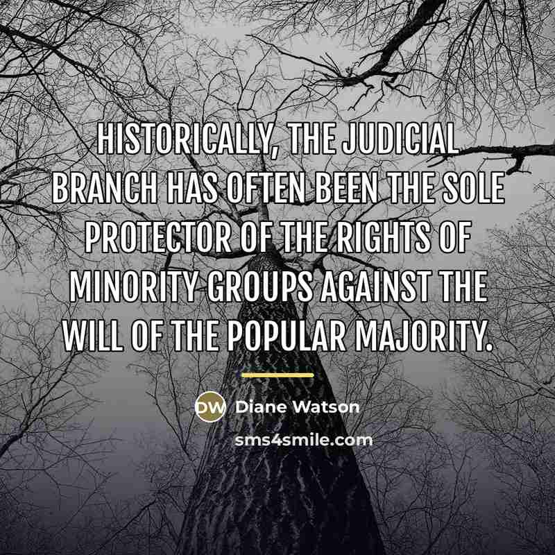 “Historically, the judicial branch has often been the sole protector…” quote by Diane Watson