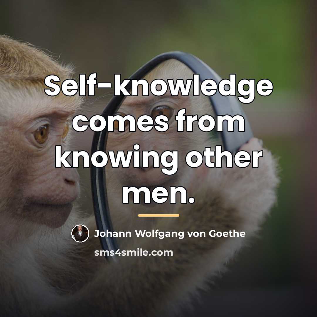 “Self-knowledge comes from knowing other men.…” quote by Johann Wolfgang von Goethe