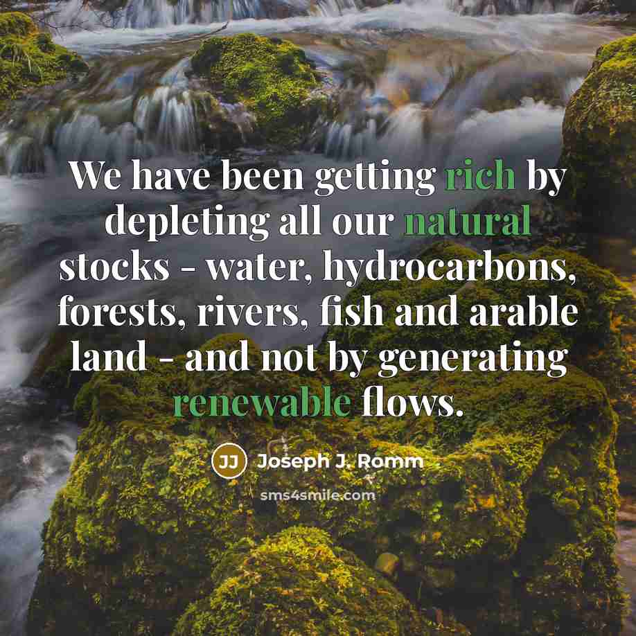 “We have been getting rich by depleting all our natural stocks - water, hydrocarbons, forests, rivers, fish and arable land - and not by generating renewable flows.” quote by Joseph J. Romm