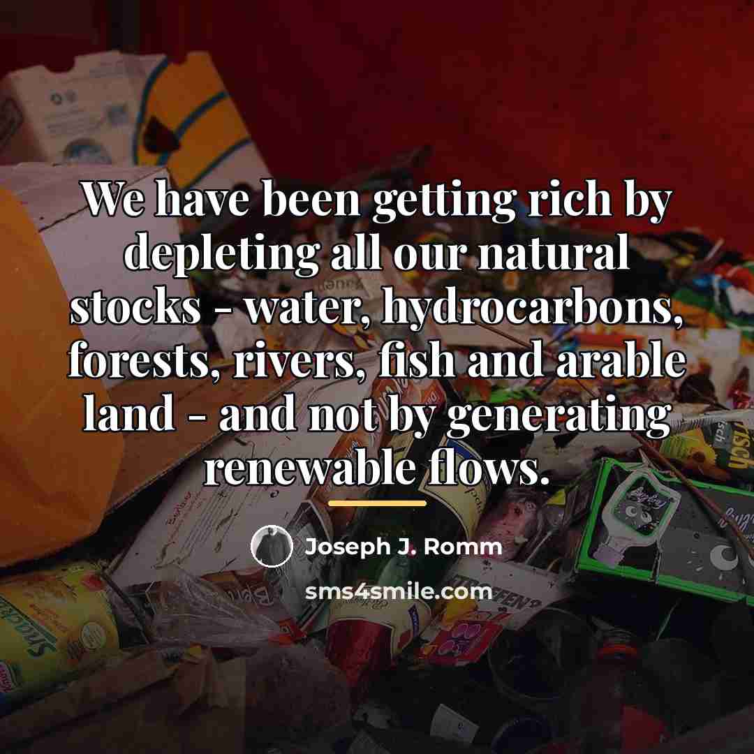 “We have been getting rich by depleting all our natural…” quote by Joseph J. Romm
