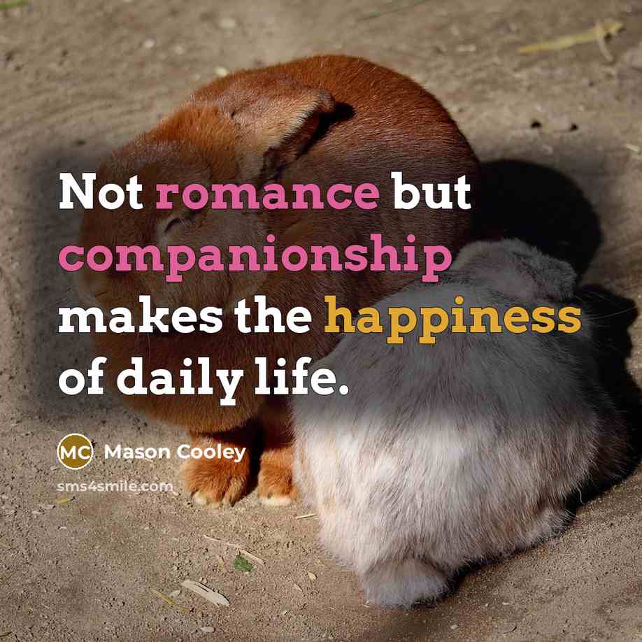 “Not romance but companionship makes the happiness of daily life.…” quote by Mason Cooley