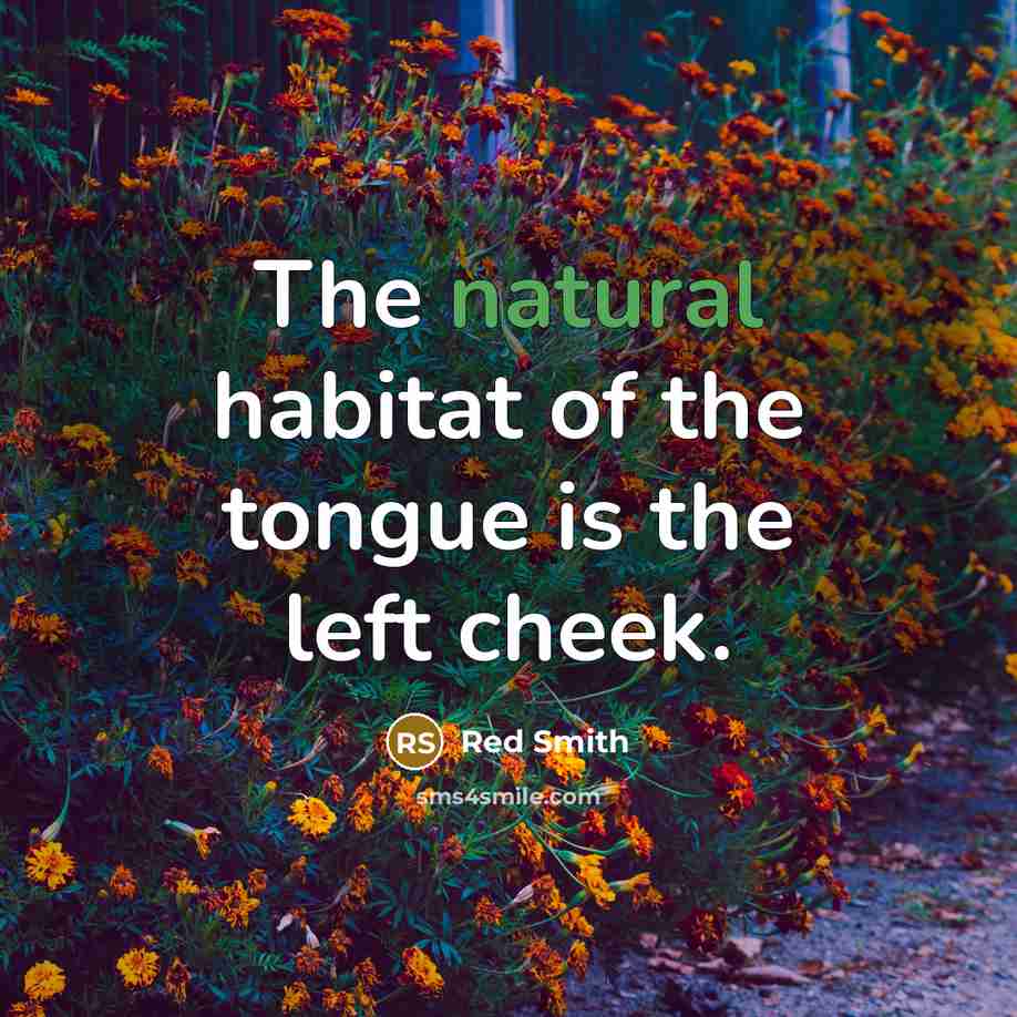 “The natural habitat of the tongue is the left cheek.” quote by Red Smith