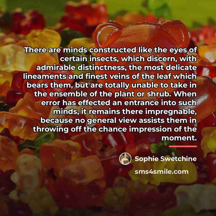 “There are minds constructed like the eyes of certain insects,…” quote by Sophie Swetchine