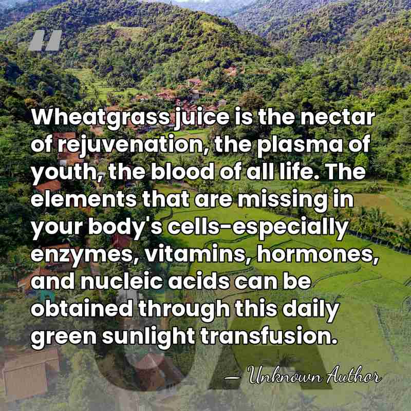Wheatgrass juice is the nectar of rejuvenation, the plasma of youth, the&hellip; - Unknown Author