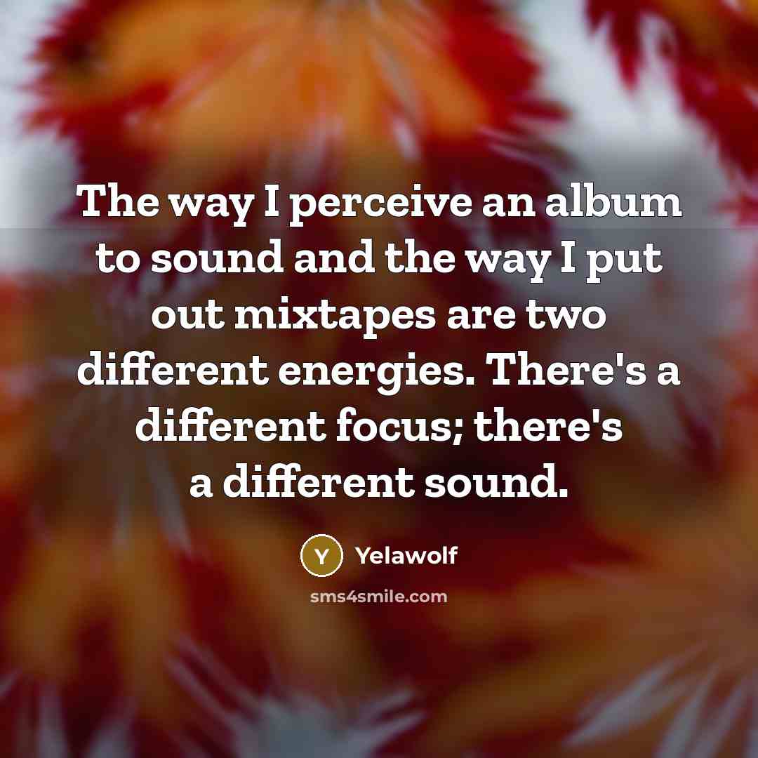 “The way I perceive an album to sound and the…” quote by Yelawolf