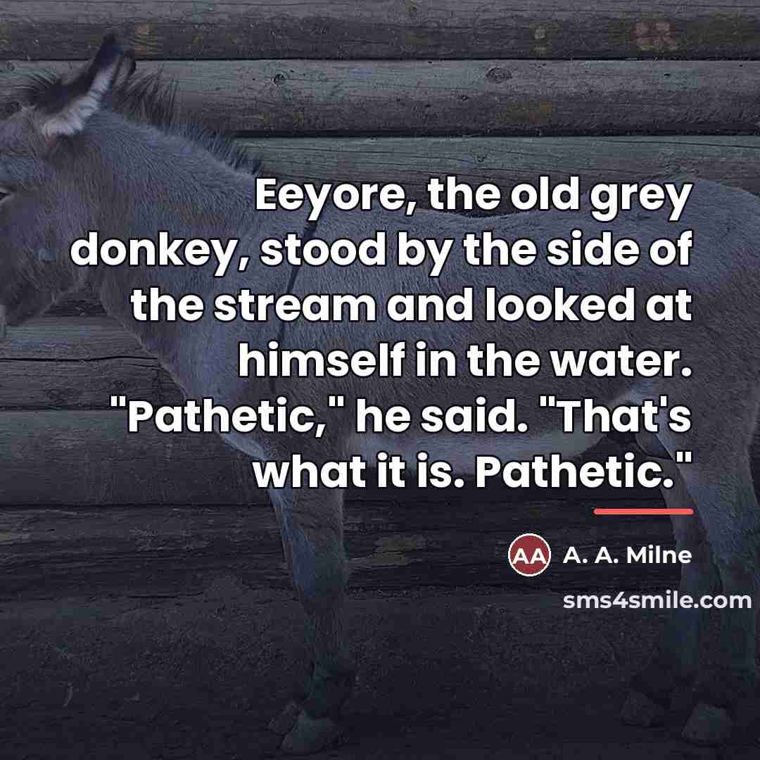 “Eeyore, the old grey donkey, stood by the side of…” quote by A. A. Milne