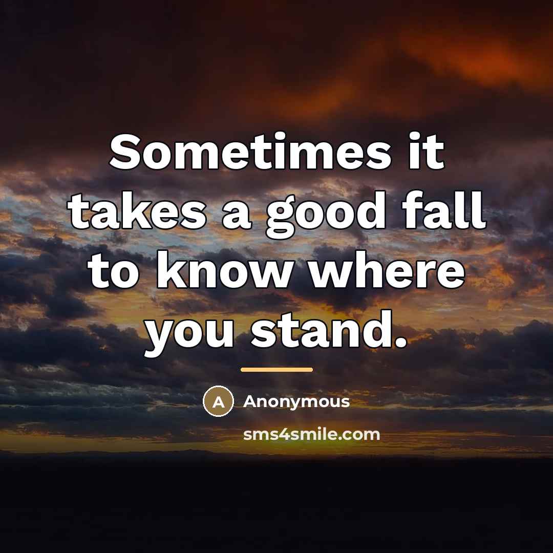 “Sometimes it takes a good fall to know where you…” quote by Anonymous