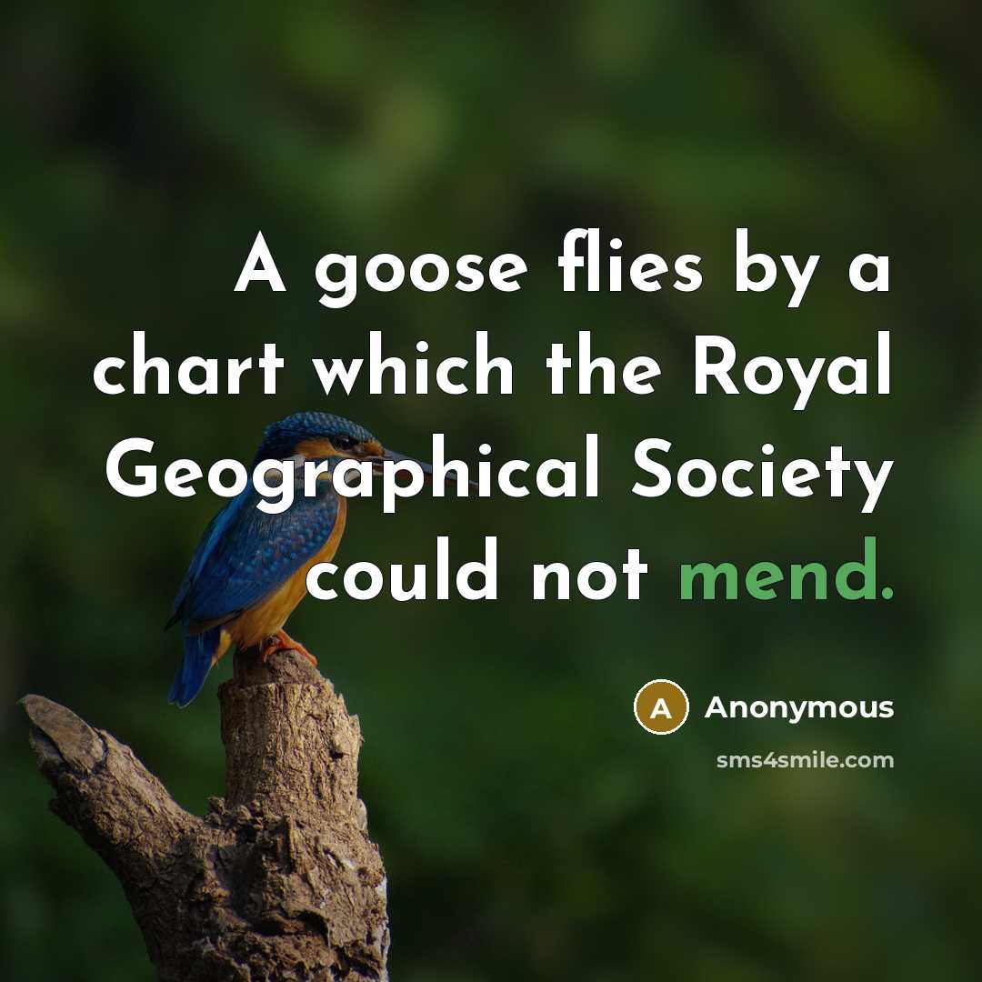 “A goose flies by a chart which the Royal Geographical Society could not mend.” quote by Anonymous