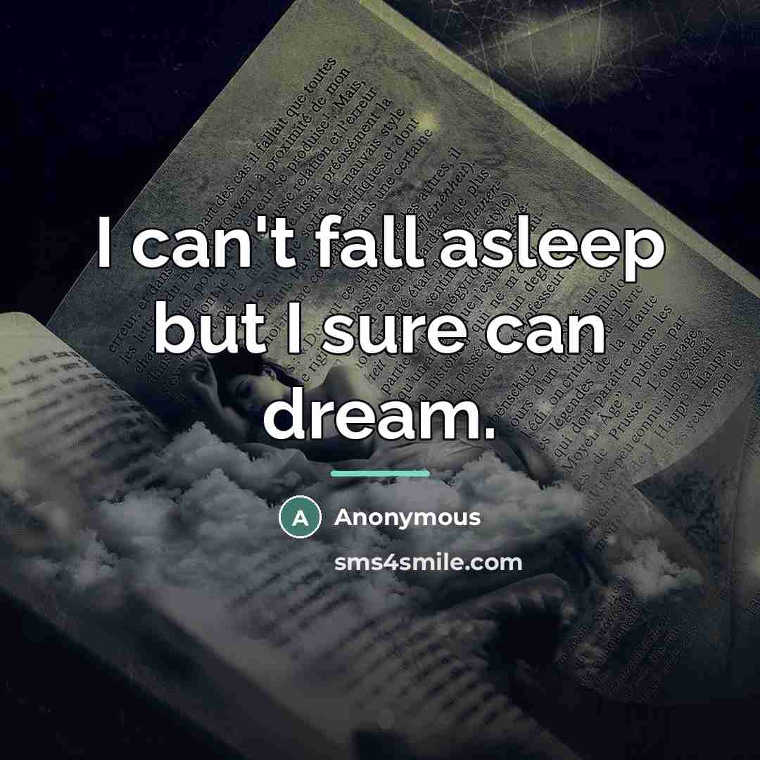 “I can't fall asleep but I sure can dream.…” quote by Anonymous