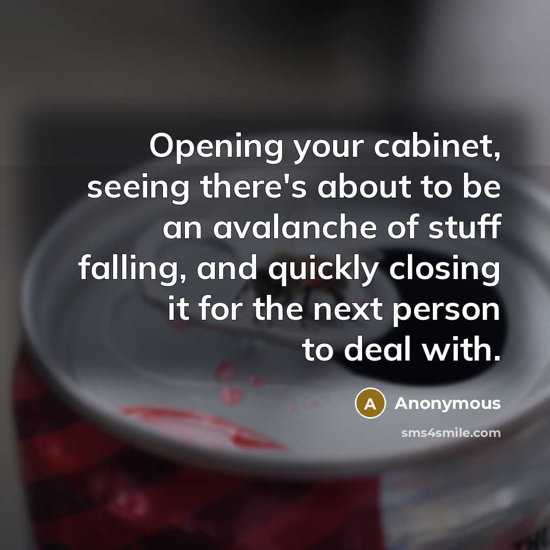“Opening your cabinet, seeing there's about to be an avalanche…” quote by Anonymous