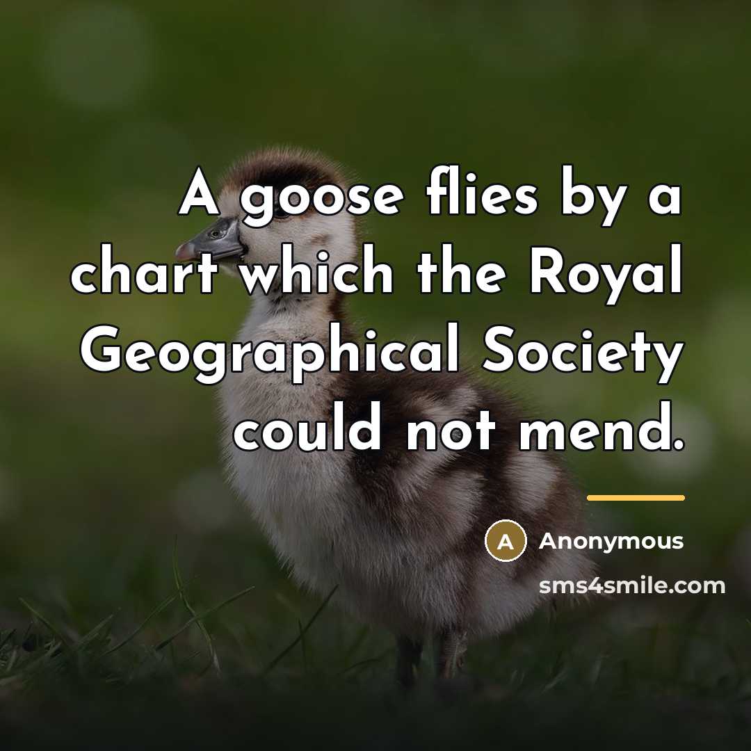 “A goose flies by a chart which the Royal Geographical…” quote by Anonymous