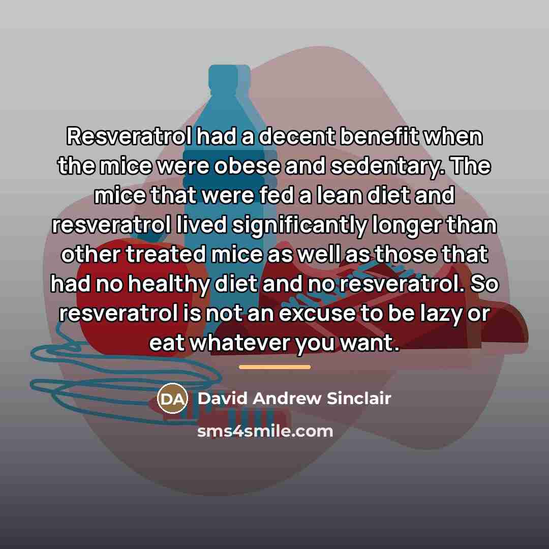 “Resveratrol had a decent benefit when the mice were obese…” quote by David Andrew Sinclair