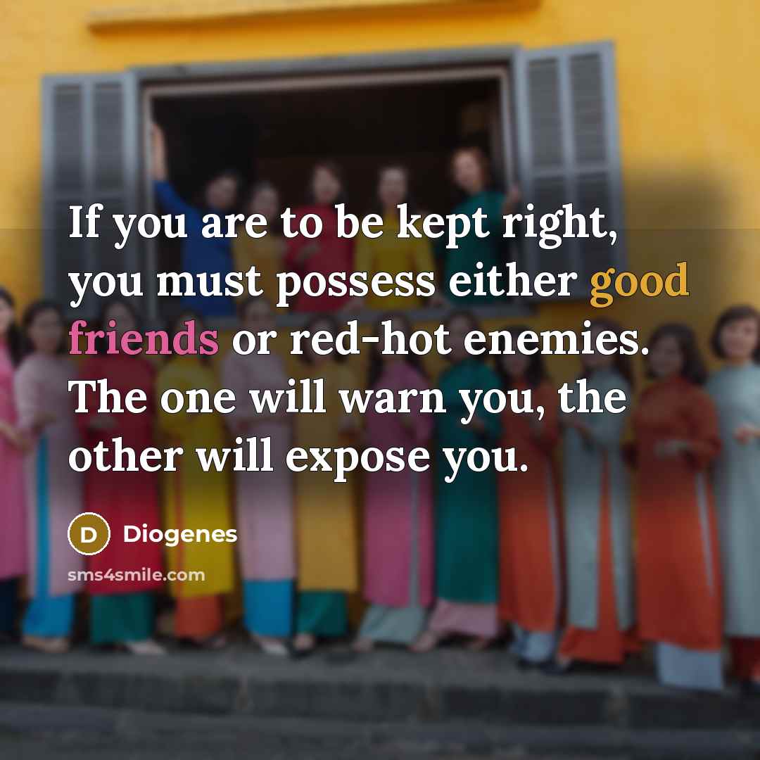 “If you are to be kept right, you must possess either good friends or red-hot enemies. The one will warn you, the other will expose you.” quote by Diogenes