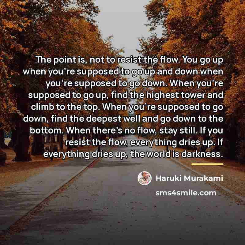 “The point is, not to resist the flow. You go…” quote by Haruki Murakami