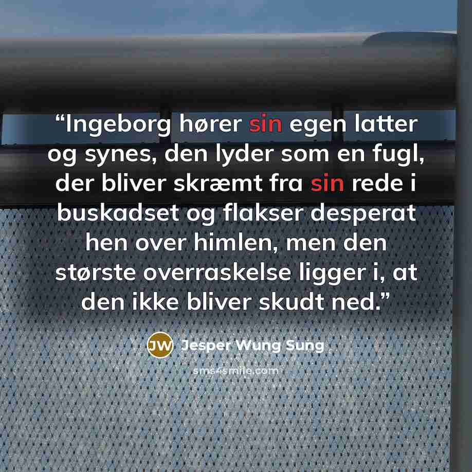 “Ingeborg hører sin egen latter og synes, den lyder som en fugl, der bliver skræmt fra sin rede i buskadset og flakser desperat hen over himlen, men den største overraskelse ligger i, at den ikke bliver skudt ned.” quote by Jesper Wung Sung