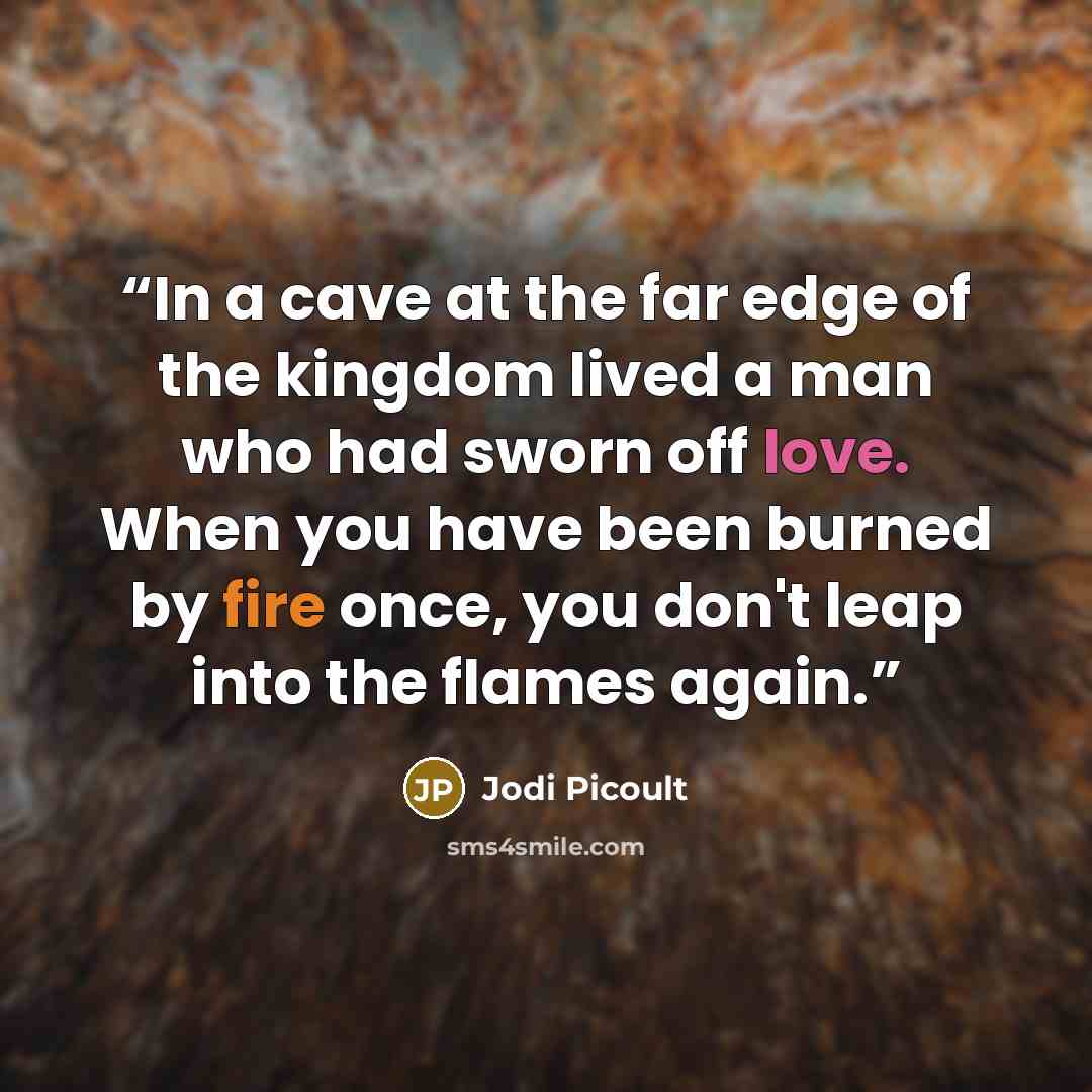 “In a cave at the far edge of the kingdom lived a man who had sworn off love. When you have been burned by fire once, you don't leap into the flames again.” quote by Jodi Picoult