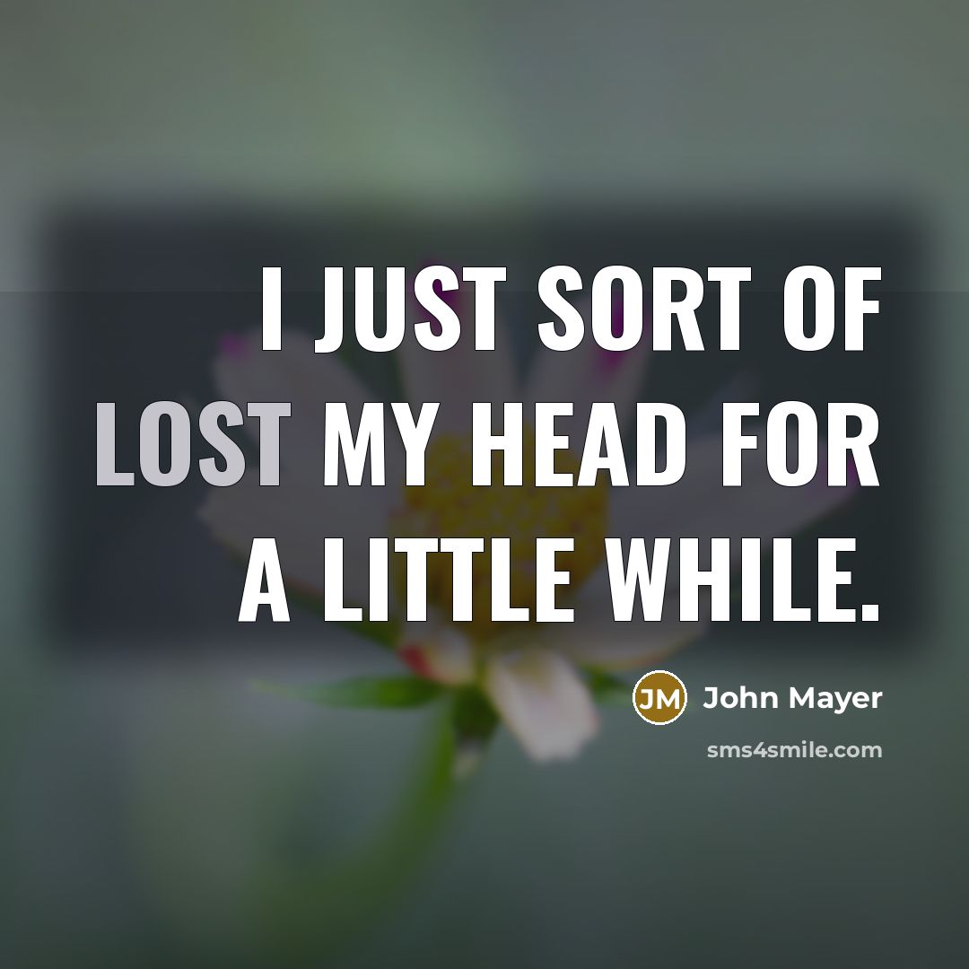 “I just sort of lost my head for a little…” quote by John Mayer