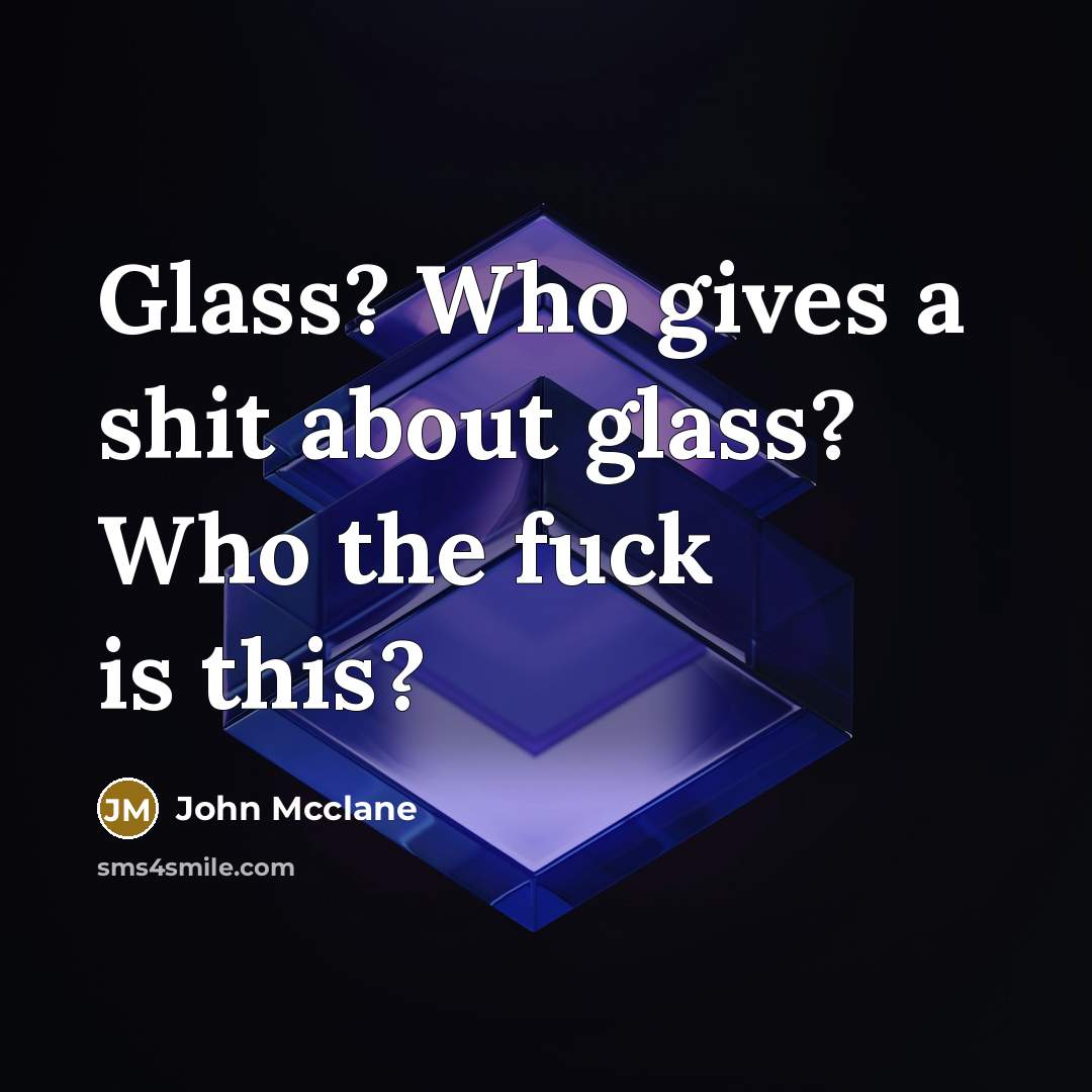 “Glass? Who gives a shit about glass? Who the fuck…” quote by John Mcclane