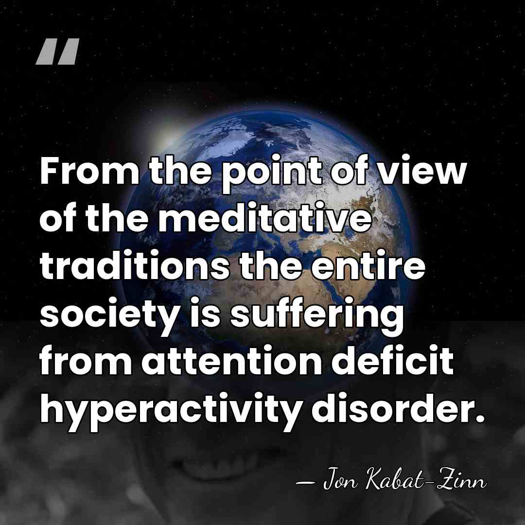 From the point of view of the meditative traditions the entire society&hellip; - Jon Kabat-Zinn