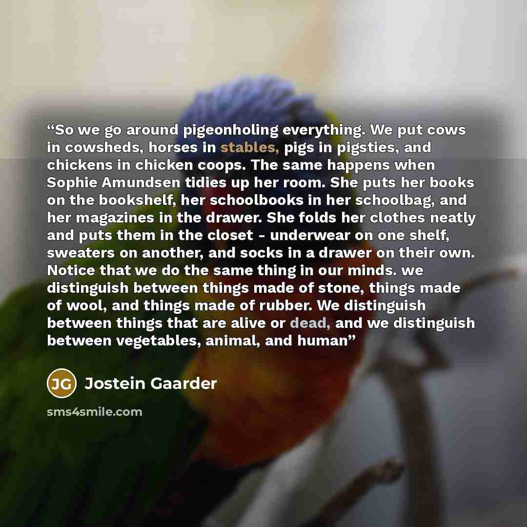 “So we go around pigeonholing everything. We put cows in cowsheds, horses in stables, pigs in pigsties, and chickens in chicken coops. The same happens when Sophie Amundsen tidies up her room. She puts her books on the bookshelf, her schoolbooks in her schoolbag, and her magazines in the drawer…” quote by Jostein Gaarder