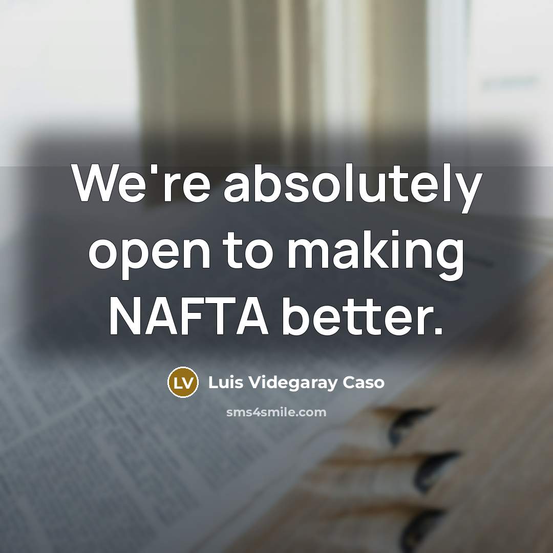 “We're absolutely open to making NAFTA better.…” quote by Luis Videgaray Caso
