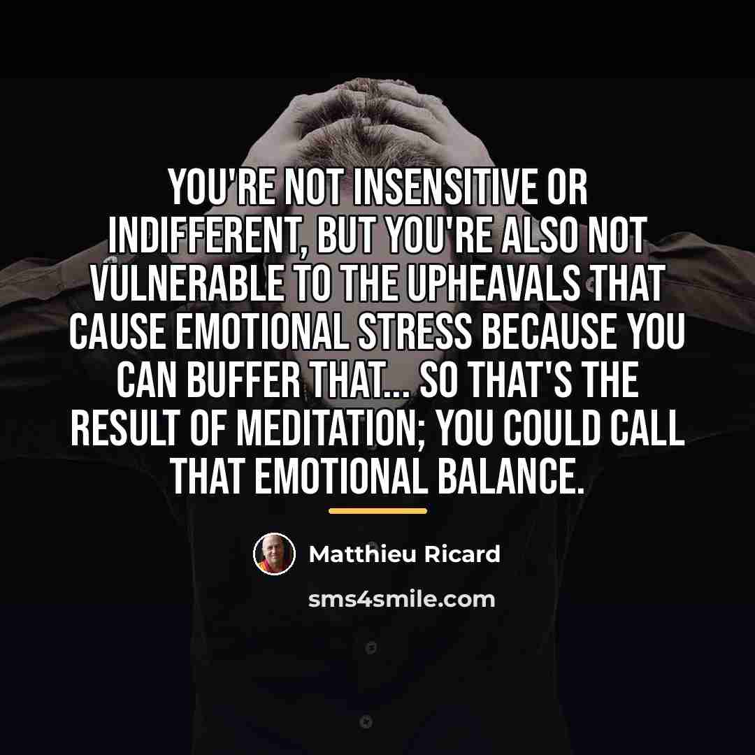 “You're not insensitive or indifferent, but you're also not vulnerable…” quote by Matthieu Ricard