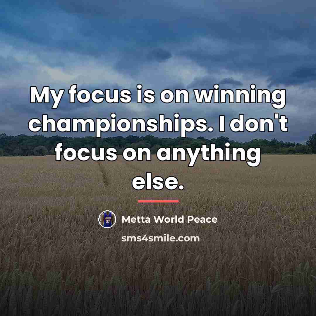 “My focus is on winning championships. I don't focus on…” quote by Metta World Peace