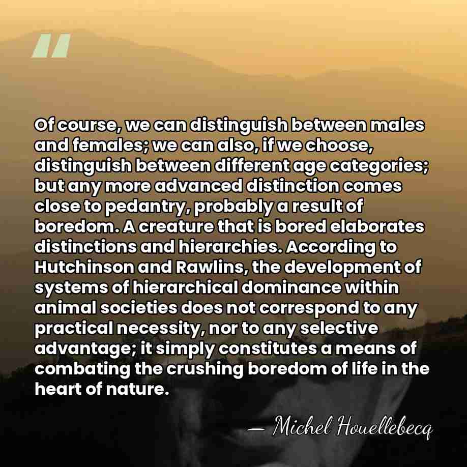 Of course, we can distinguish between males and females; we can also,&hellip; - Michel Houellebecq