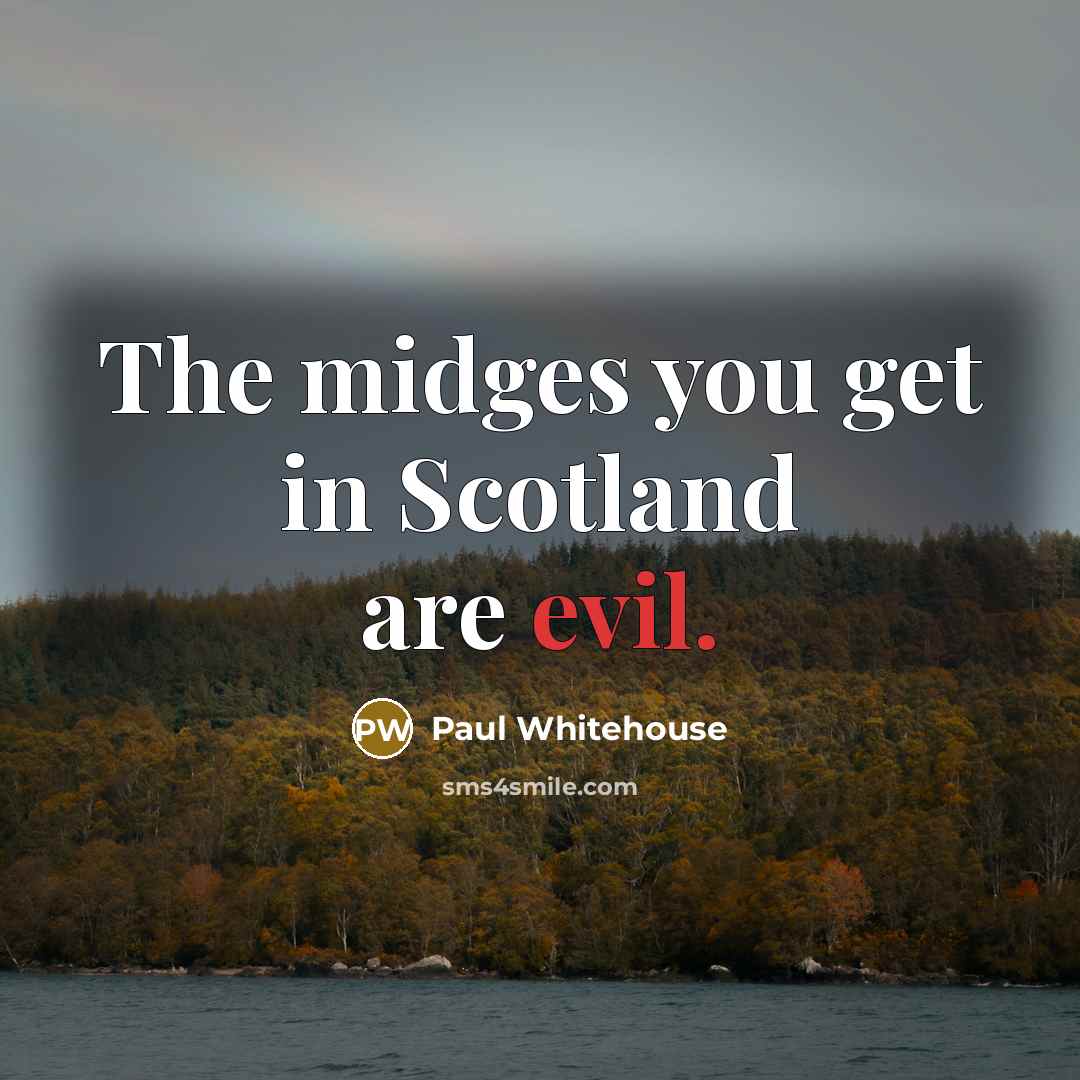 “The midges you get in Scotland are evil.…” quote by Paul Whitehouse