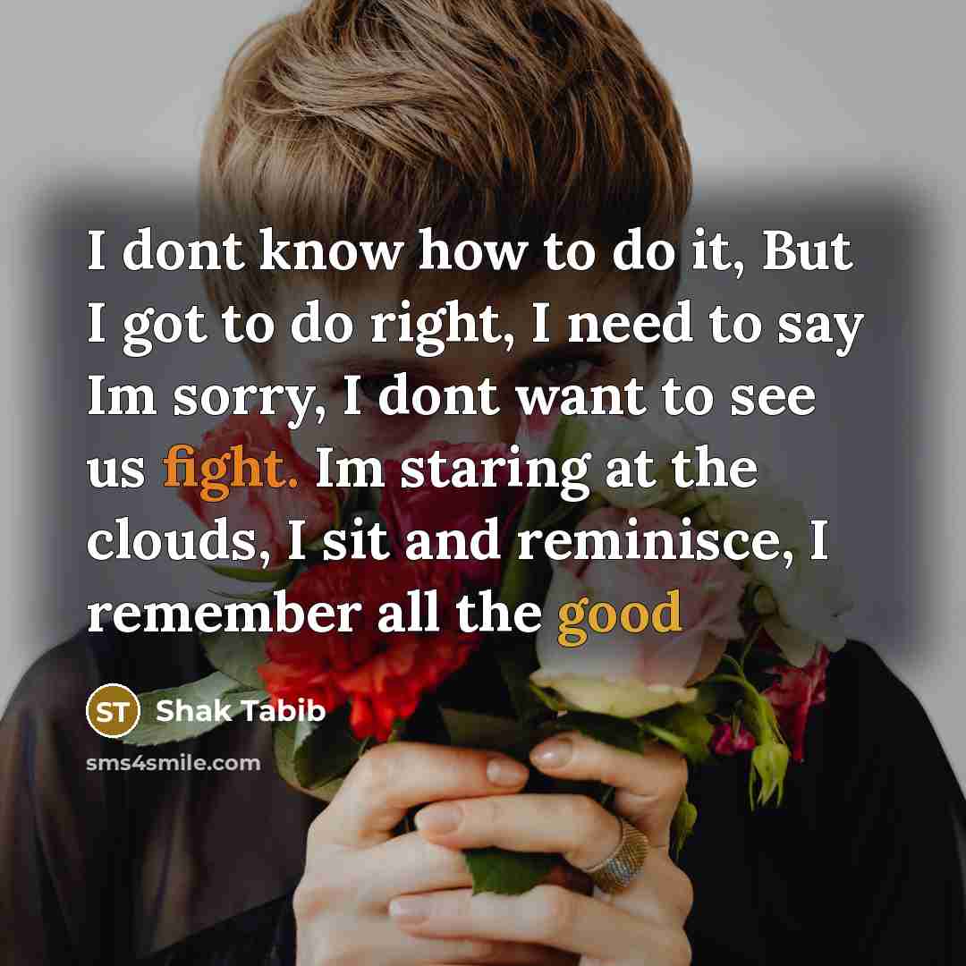 “I dont know how to do it, But I got to do right, I need to say Im sorry, I dont want to see us fight. Im staring at the clouds, I sit and reminisce, I remember all the good” quote by Shak Tabib