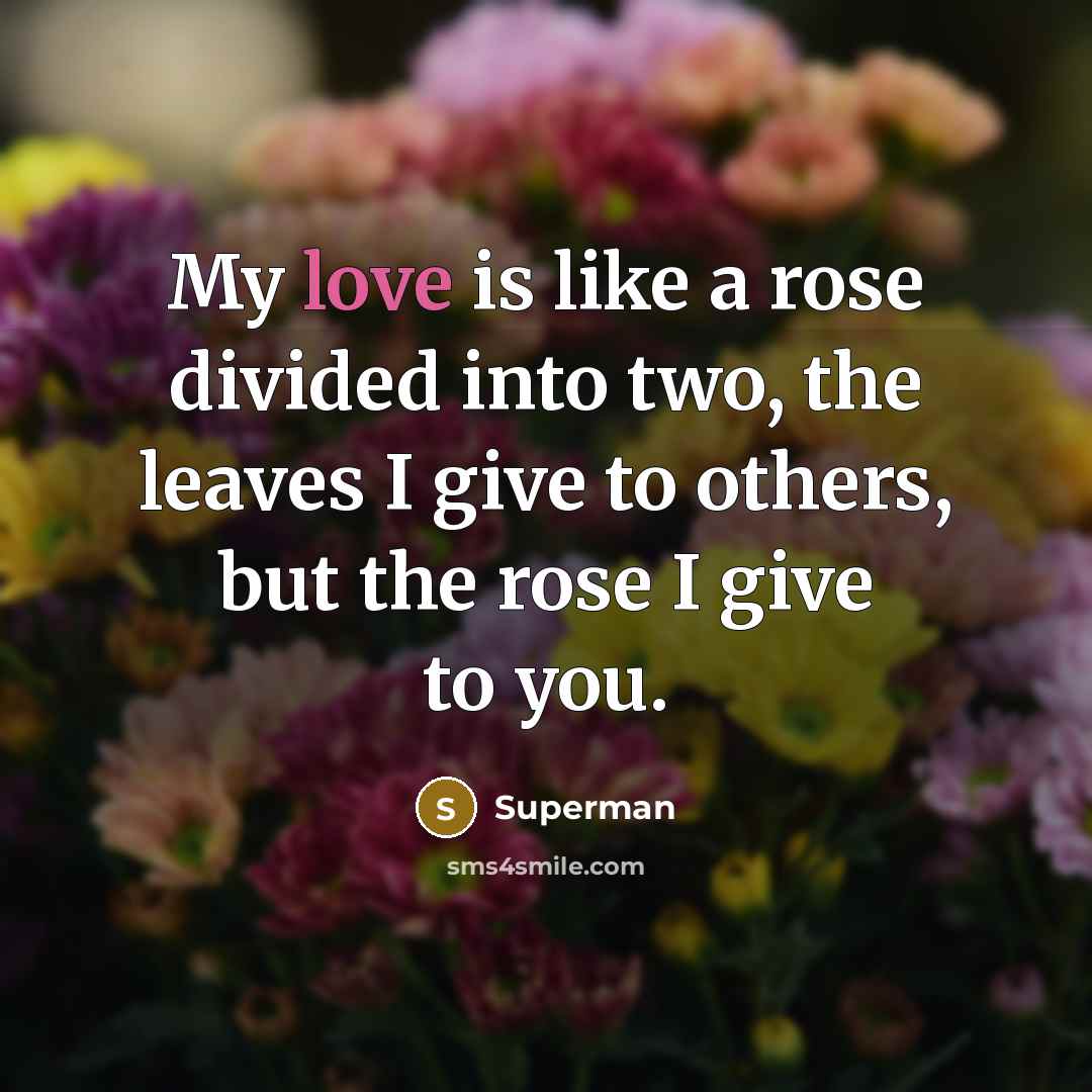 “My love is like a rose divided into two, the…” quote by Superman