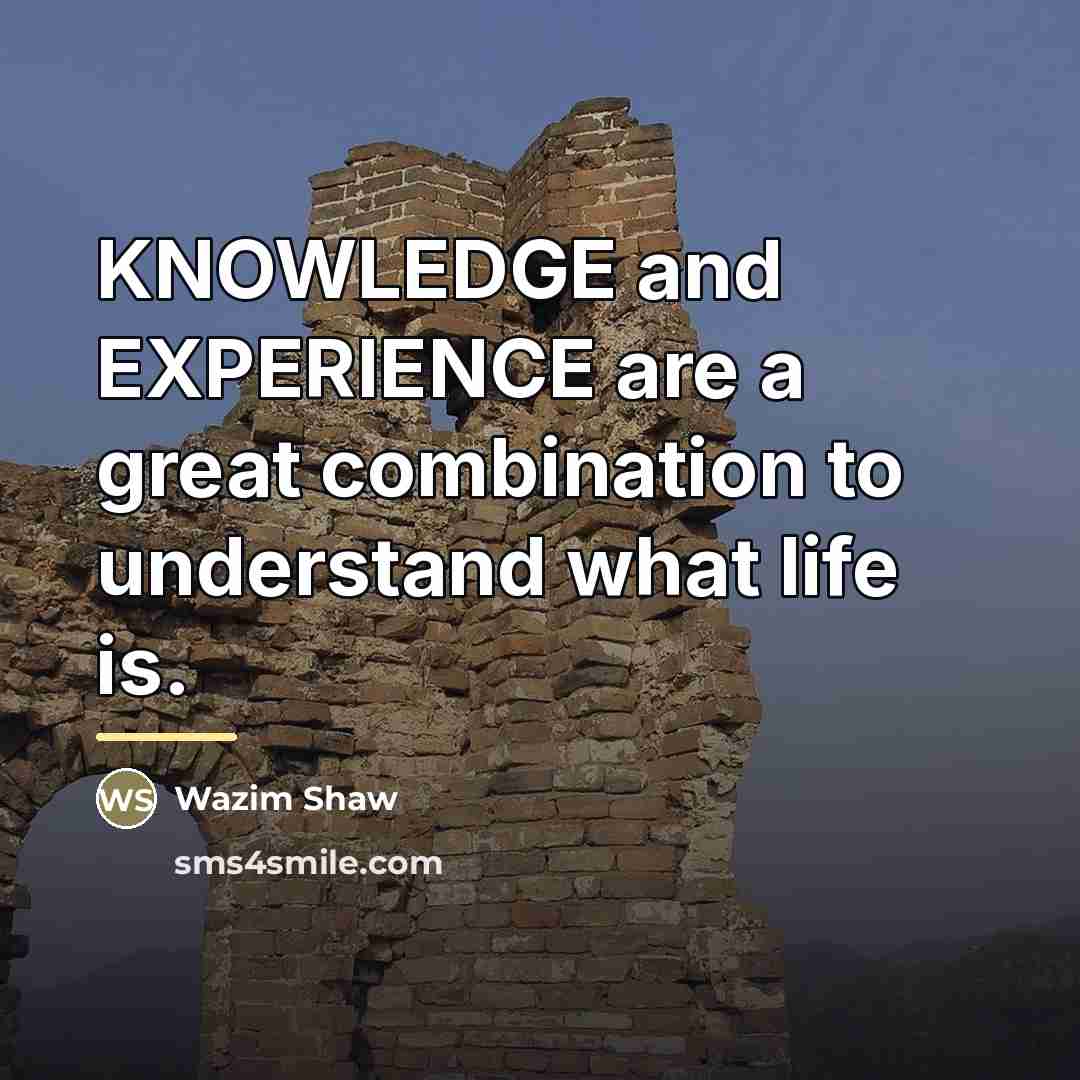 “KNOWLEDGE and EXPERIENCE are a great combination to understand what…” quote by Wazim Shaw