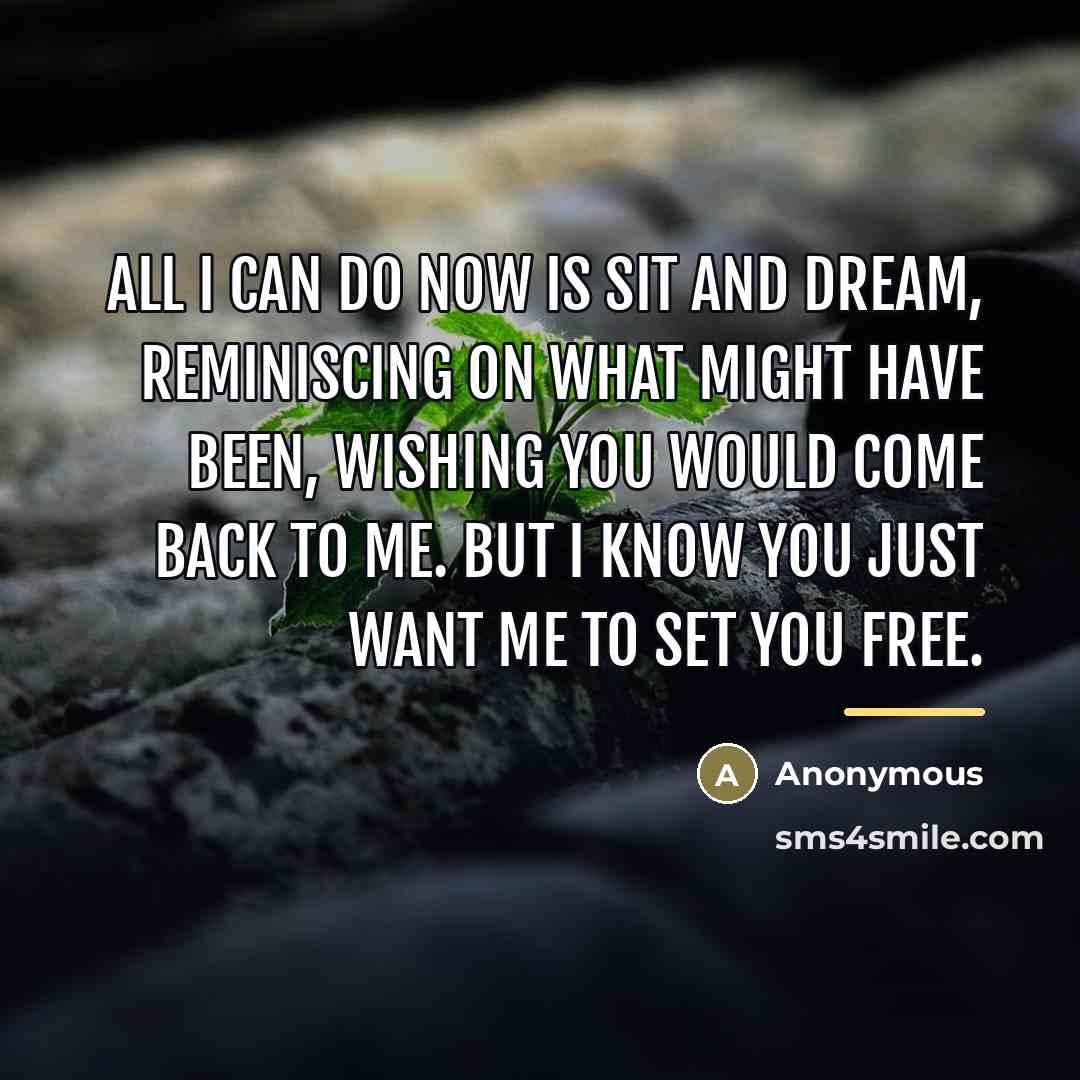 “All I can do now is sit and dream, reminiscing…” quote by Anonymous
