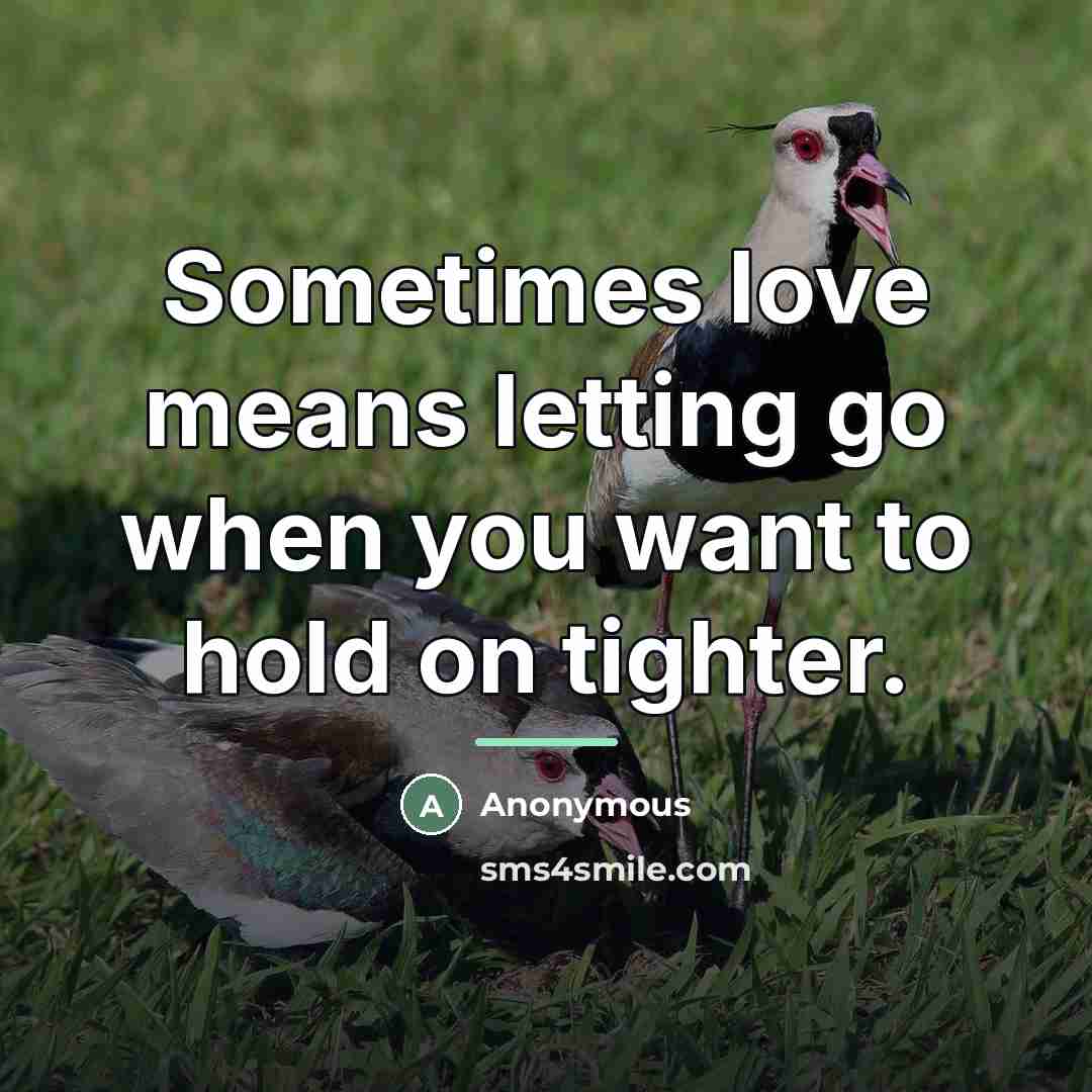 “Sometimes love means letting go when you want to hold…” quote by Anonymous