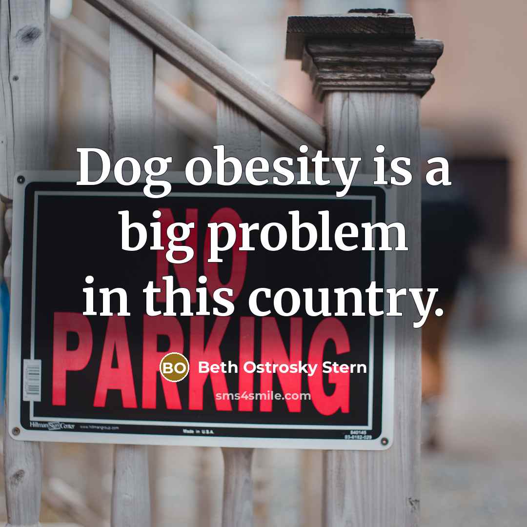 “Dog obesity is a big problem in this country.…” quote by Beth Ostrosky Stern