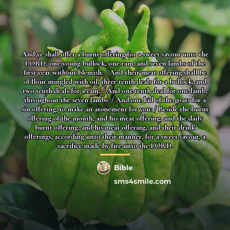 “And ye shall offer a burnt offering for a sweet…” quote by Bible