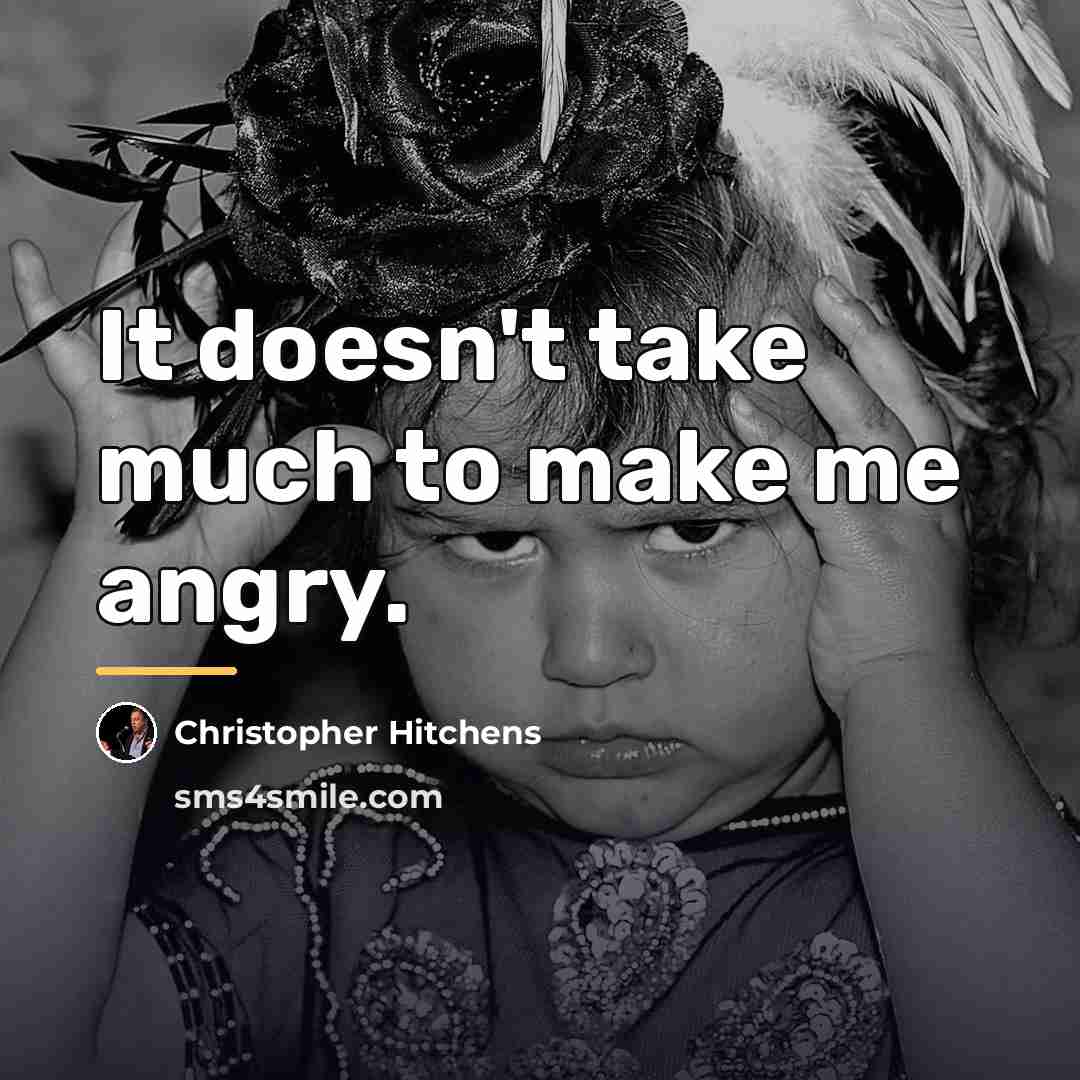 “It doesn't take much to make me angry.…” quote by Christopher Hitchens