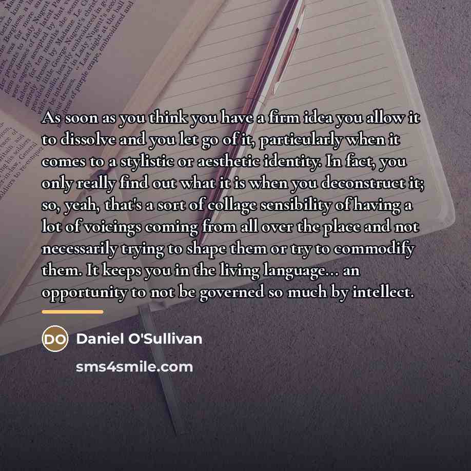 “As soon as you think you have a firm idea…” quote by Daniel O'Sullivan
