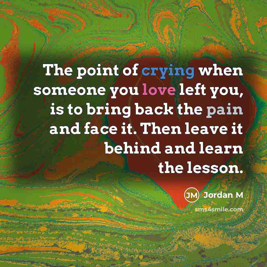 “The point of crying when someone you love left you, is to bring back the pain and face it. Then leave it behind and learn the lesson.” quote by Jordan M