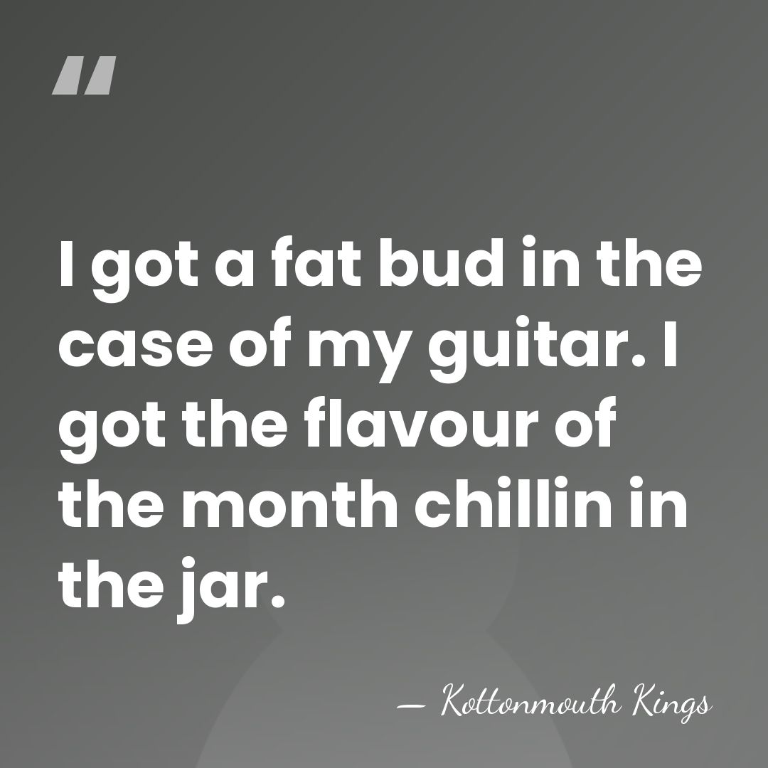 I got a fat bud in the case of my guitar. I&hellip; - Kottonmouth Kings