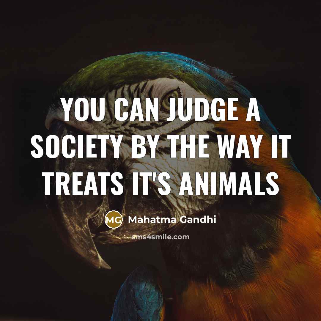 “You can judge a society by the way it treats…” quote by Mahatma Gandhi