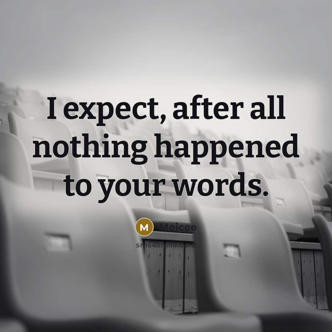 “I expect, after all nothing happened to your words.” quote by Meicee