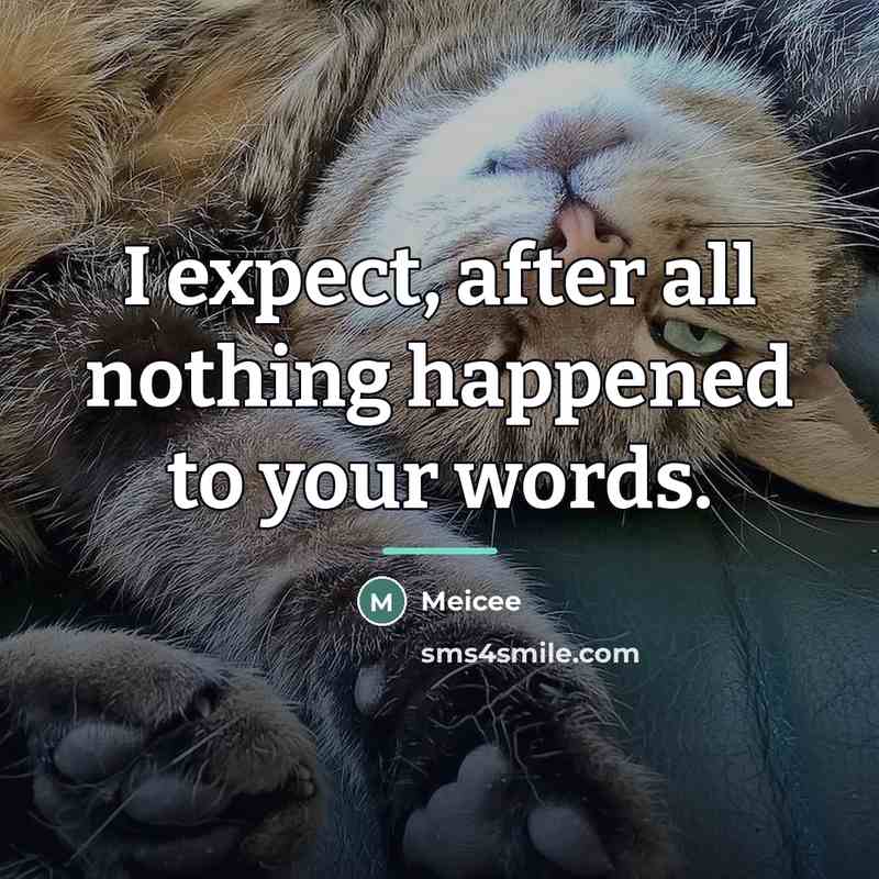 “I expect, after all nothing happened to your words.…” quote by Meicee
