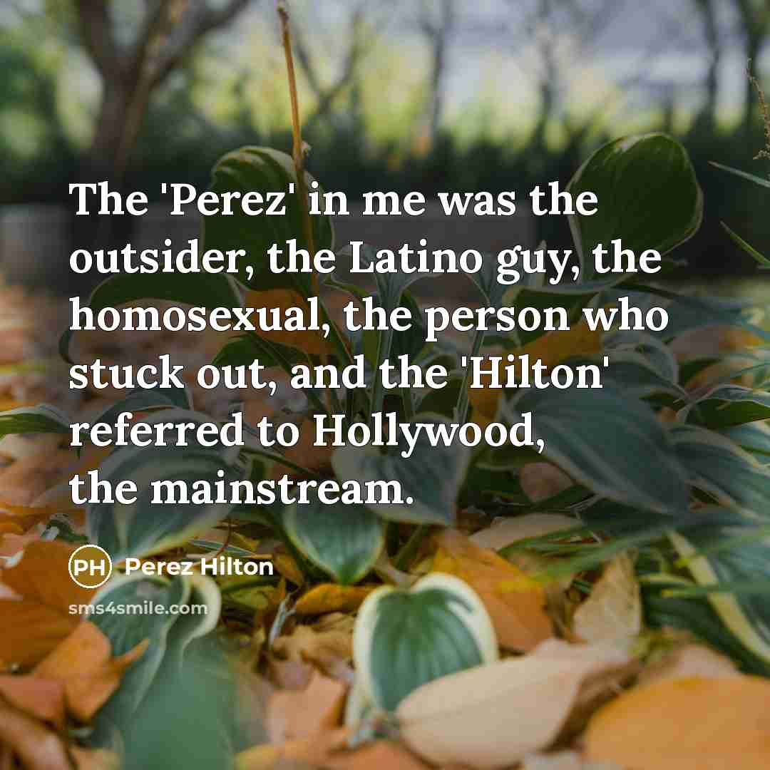 “The 'Perez' in me was the outsider, the Latino guy,…” quote by Perez Hilton
